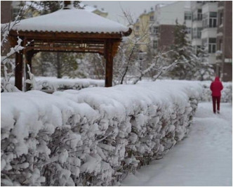 呼倫貝爾市多地出現暴雪天氣。