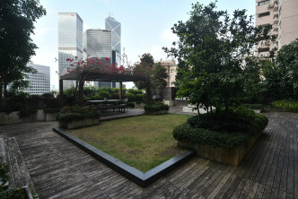 客廳外連3700方呎的翠綠花園，猶如置身城市中的綠洲。
