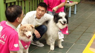 3隻受過專業訓練的治療犬，包括擁有不少粉絲的「淡定哥」、還有「不不」和「Tiger」。