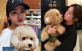 蔡卓妍一周內痛失如親人般的兩隻愛犬「柚柚」和「荔枝仔」。