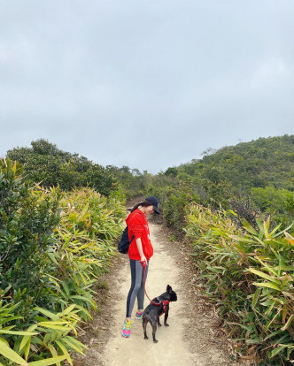 JM月初才带爱犬行山吸新鲜空气，当时山上仲系冇乜人。