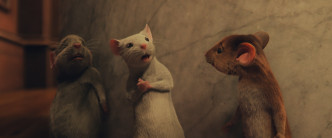 電影中小孩被變成老鼠後，相當可愛。