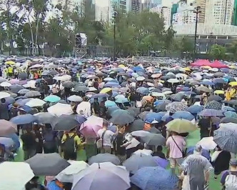現場下起細雨，參加者大都撐起雨傘。有線電視截圖