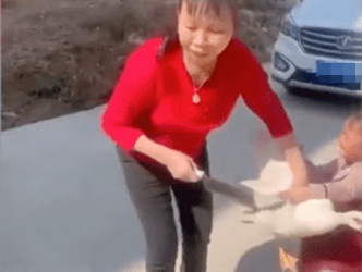 女童用盡全身力氣阻止婦人殺掉白鴨。網上影片截圖