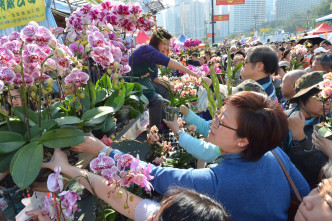 全港15个年宵市场今日开锣。 资料图片