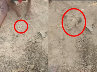 印度一名村民發現地上有一條「小短腿」，最後挖出一名男嬰。 影片截圖