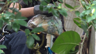 警方重點搜查隊人員在山坡檢獲一些金器和現金。