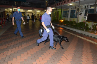 警员晚上带同警犬到场