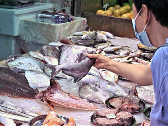 中心认为病人感染可能与处理未经烹煮的淡水鱼时手部带有伤口，或食用未煮熟的淡水鱼有关。资料图片