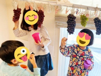 日本一名妈妈用家中的衣架及衣夹制作一个「葡萄园」。网图