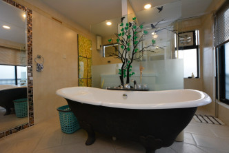 浴室保养得宜，空间之大可容纳淋浴间及浴缸。