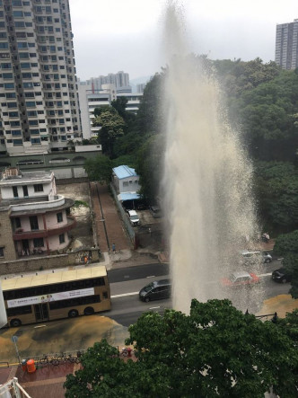 网民郭浩暐图片