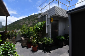 单位设有741方尺天台，裁种了多种翠绿植物。