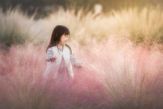 粉黛乱子的草浪如梦如幻。Flickr图片