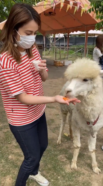 Yan餵草泥馬。