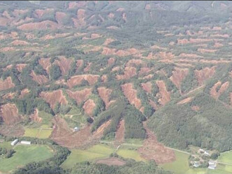 北海道地震後。(網圖)