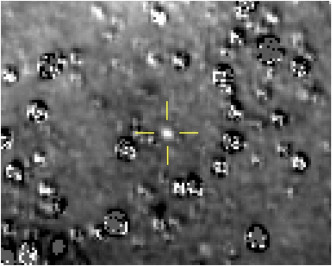 「新視野號」近距離飛越距地球約65億公里的小行星Ultima Thule。AP