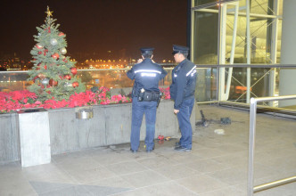 一名男子放火烧机场一棵圣诞树