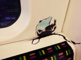 老鼠利用口罩做降落伞。(影片截图)