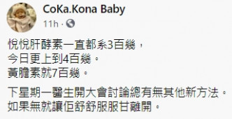 「CoKa.Kona Baby」FB截圖