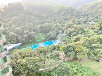 廳堂及房間均向西，外望綠油油的林景及內園池景。