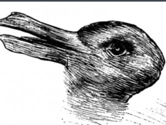 「鸭兔图」。网图
