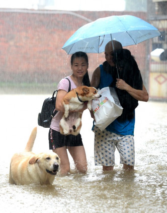 有民衆帶同愛犬暫避。新華社圖片