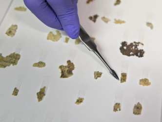部分《死海古卷》碎片只有數毫米長。AP圖片