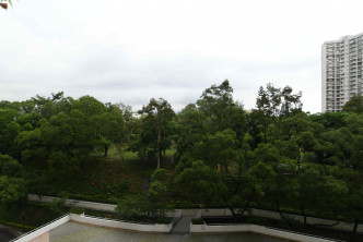 单位外望赛西湖公园，放眼尽是青翠绿树。