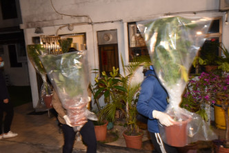 海关在西贡村屋检出13棵大麻及朱古力值100万元。