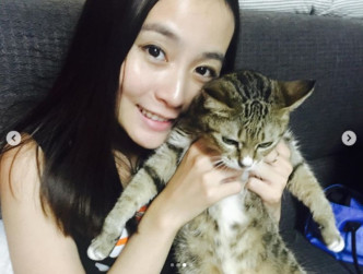 李蘊再上載「阿扁」與另一隻貓「阿毛」多年陪伴成長的舊照。