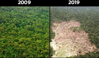 10年間地球環境受到破壞。網上圖片