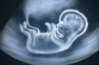 中國科學院堅決反對人類胚胎基因編輯的臨床應用。示意圖片