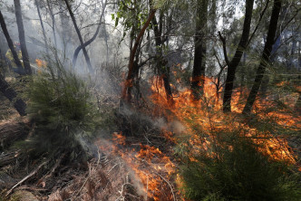澳洲山火仍然持續。AP圖片