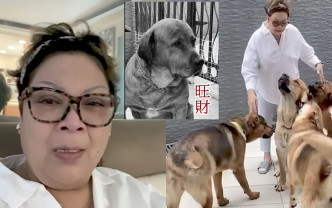 肥媽提起11歲狗狗「旺財」離世，不禁落淚。