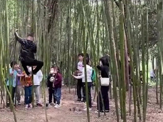 家長攜同小孩，不斷攀爬竹子嬉戲。