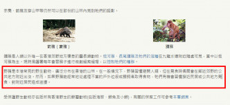 早前渔护署「受保护野生动物」的网页中，有一段落介绍野猪。网上图片
