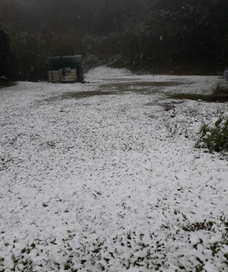 乌来信贤里今早下雪花。 网上图片