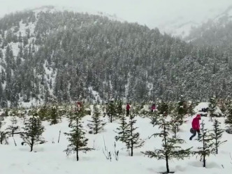 雲南德欽縣白馬雪山五月落大雪。(網圖)