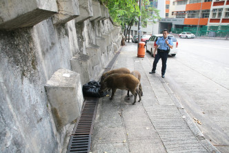 警員沿途護送。