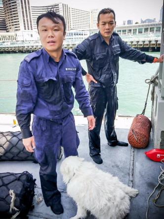 銀狐犬獲救。香港警察圖片