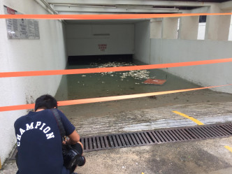 杏花邨停車場浸滿水。