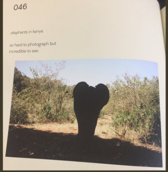 另一摄影集作品「肯亚的大象」。