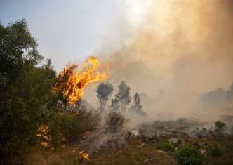 南非著名桌山国家公园山林大火。AP
