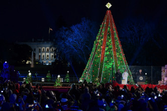 今年的「国家圣诞树」是一棵来自科罗多拉多州的蓝杉树。美联社