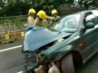 私家車司機報稱有猴子衝出馬路，閃避時與迎面而至的士相撞。香港突發事故報料區fb群組