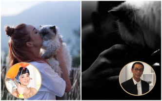 麦浚龙的20岁爱猫安详离世。