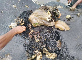 人員解剖時發現鯨魚的胃內，有接近6公斤塑膠垃圾。