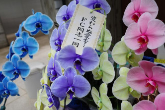 工藤靜香貼上fans送的蘭花。