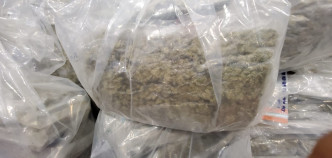 警方破獲歷來最大宗大麻毒品案，檢一億元大麻花。